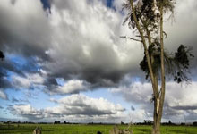 开云棋牌官网-姆巴佩爆冷之夜：当新王权杖坠落在黎明前