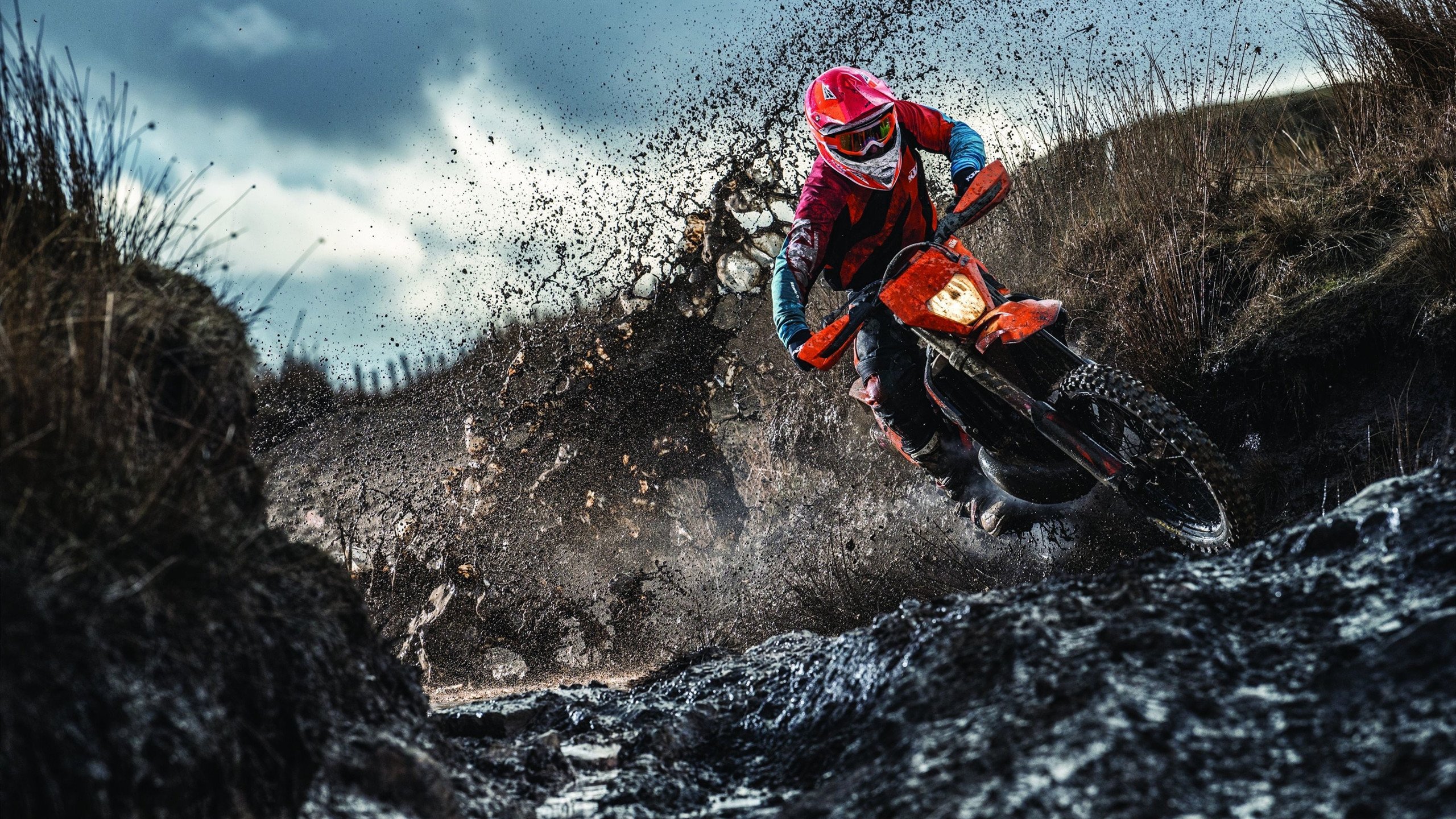 西决生死战焦点战，深圳队火力全开，全面压制湖人